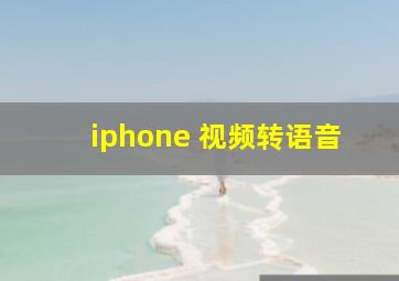 iphone 视频转语音